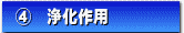 4. 浄化作用