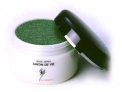 �T�{���h�r�G